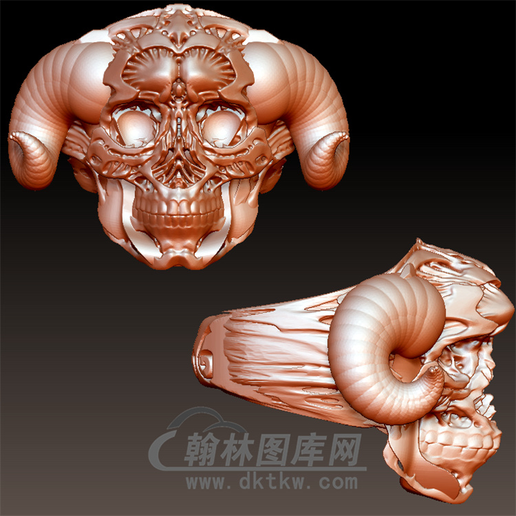 牛头骷髅头戒指立体图(YSJ-078)展示
