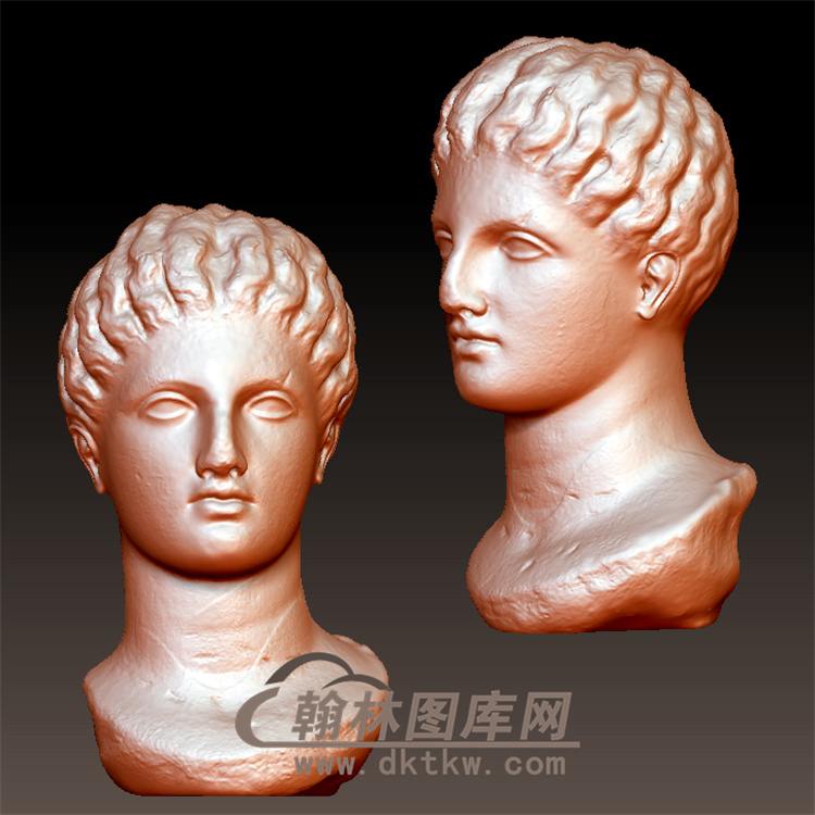 大理石女神的头立体圆雕图（YXF-102)展示