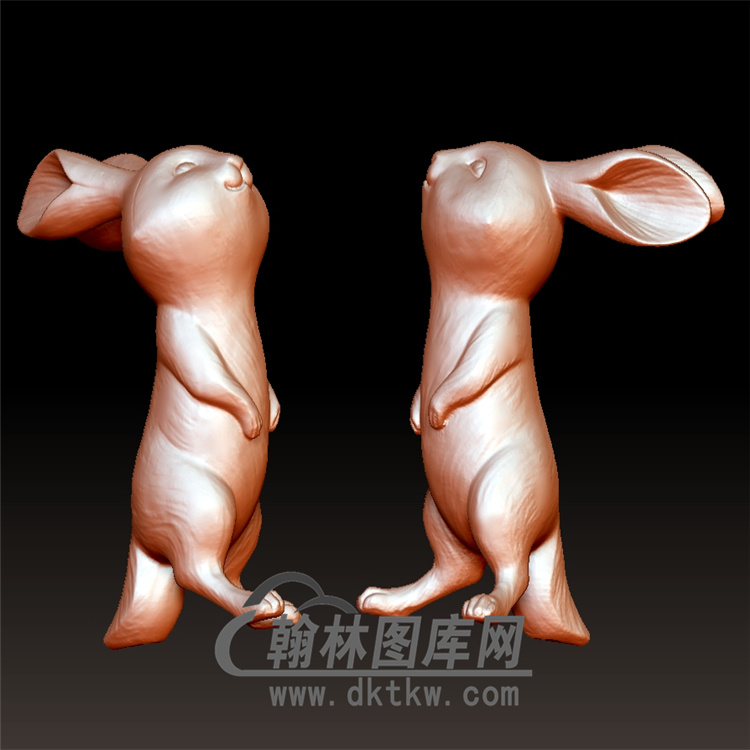 兔子立体圆雕图(YT-012)展示