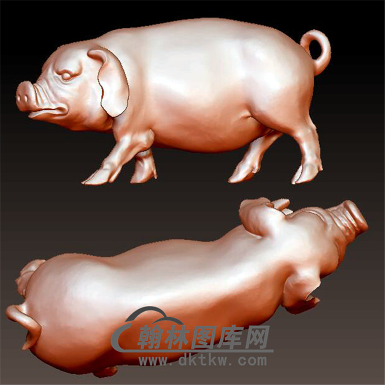 猪立体圆雕图(YZ-040)展示