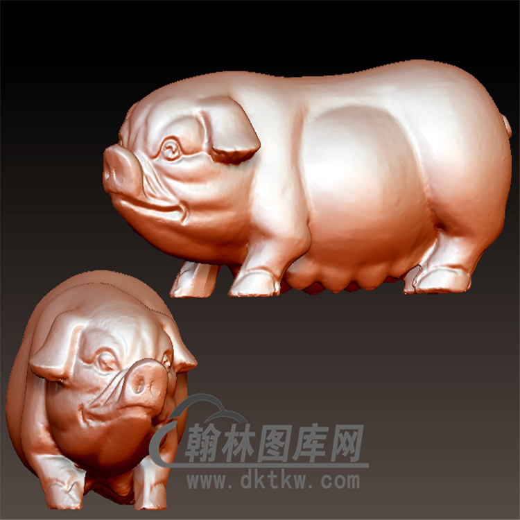 猪雌立体圆雕图(YZ-062)展示