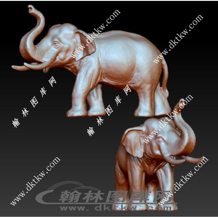 大象立体圆雕图（RNG-050）展示