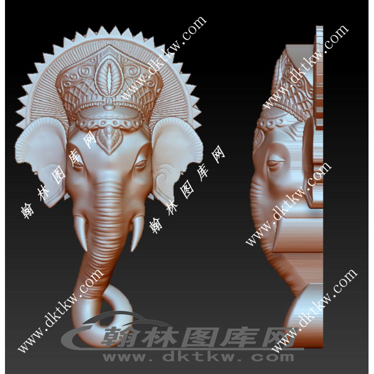 大象头部立体圆雕图（RNG-052）展示
