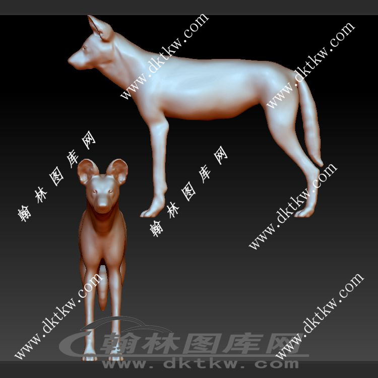 非洲狗立体圆雕图（SKT-030）展示