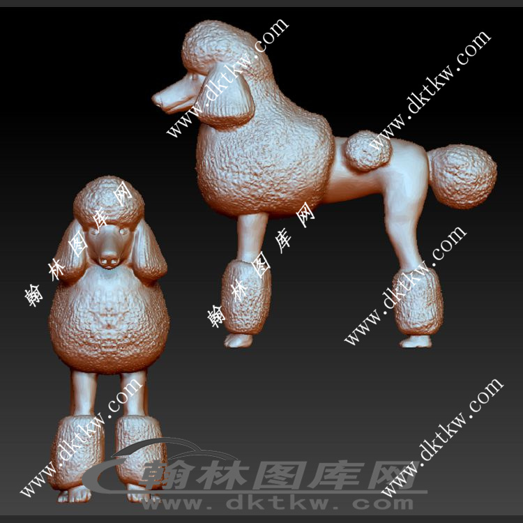 贵宾犬立体圆雕图（SKT-347）展示