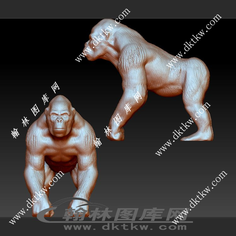 超写实黑猩猩 大猩猩模型立体圆雕图（SKT-918）展示