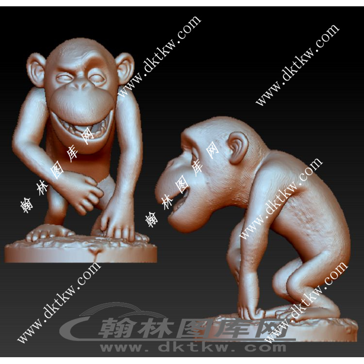猴子立体圆雕图（RNG-067）展示