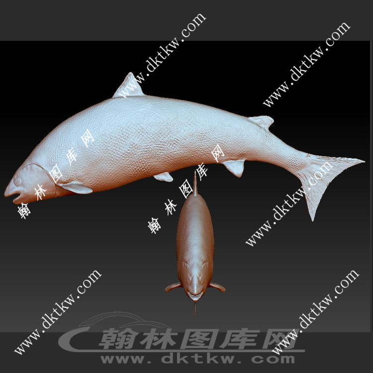 扁鱼立体圆雕图（SKT-913）展示