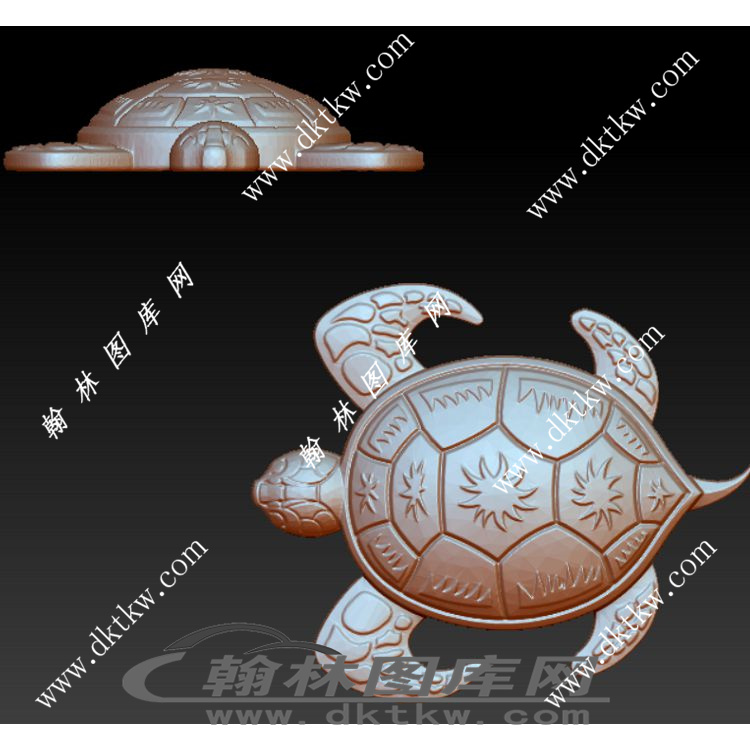 创意的乌龟立体圆雕图（RNG-118）展示