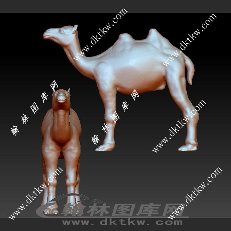 骆驼立体圆雕图（SKT-388）展示