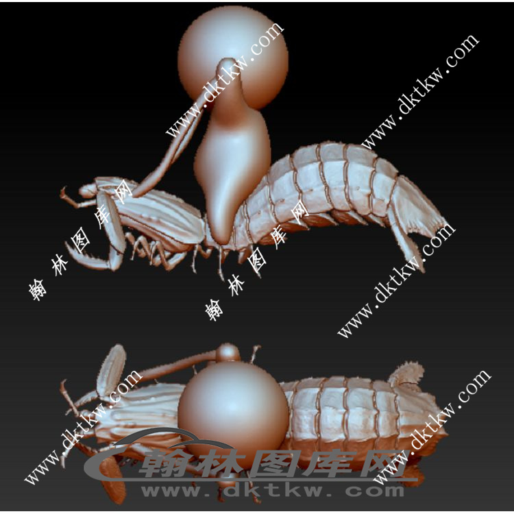 皮皮虾，我们走立体圆雕图（RNG-158）展示