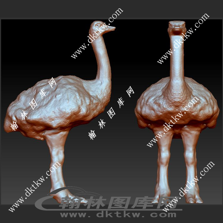 鸵鸟立体圆雕图（SKT-832）展示