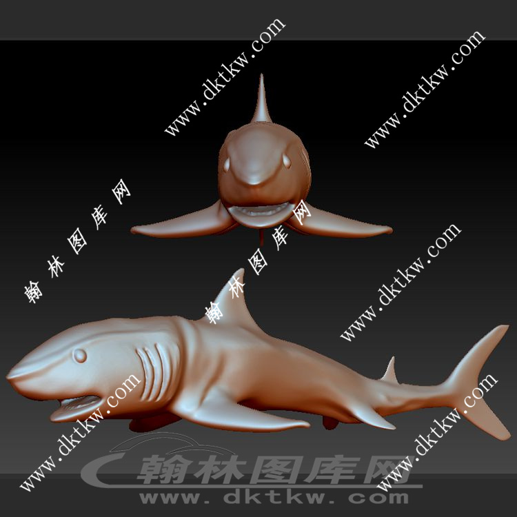 鲨鱼 大白鲨立体圆雕图（SKT-1079）展示