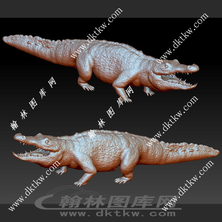 鳄鱼立体圆雕图（SKT-088）展示