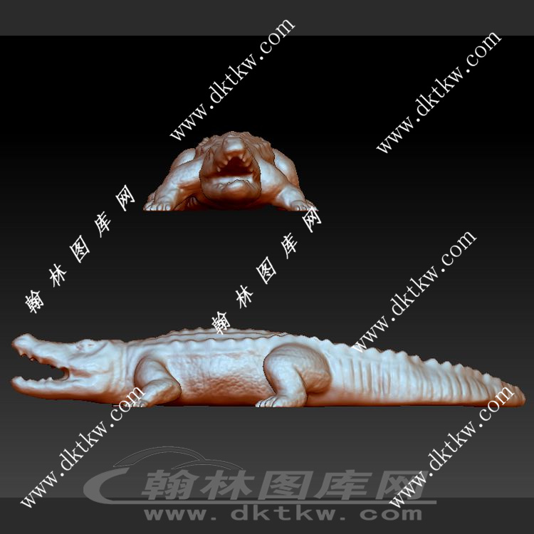 鳄鱼立体圆雕图（SKT-695）展示