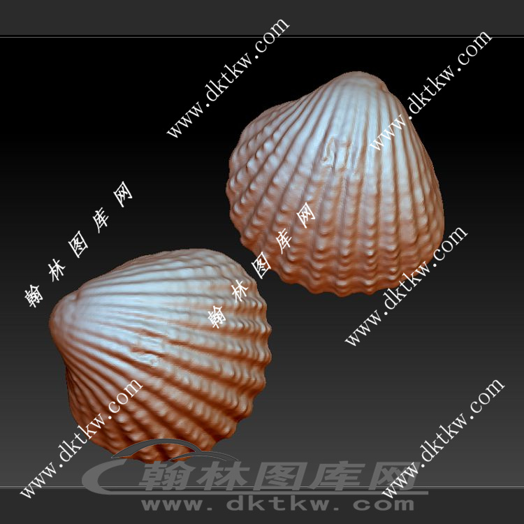 贝壳立体圆雕图（DWG-277）展示