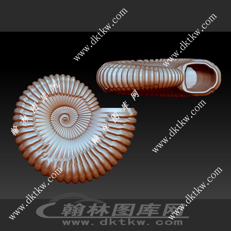 海螺立体圆雕图（DWG-263）展示