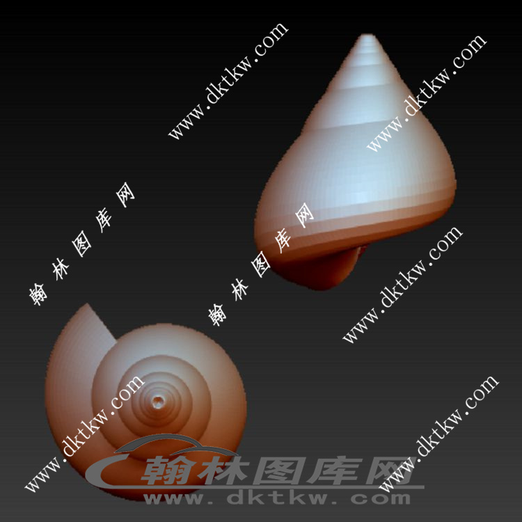 海螺立体圆雕图（RNG-188）展示