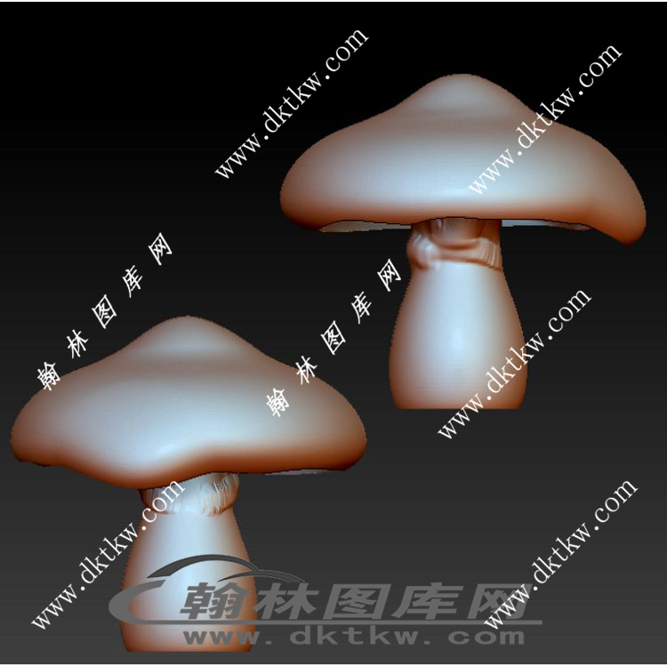蘑菇 菌菇 植物立体圆雕图（RNG-204）展示