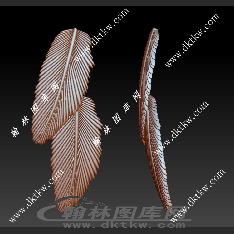 羽毛立体圆雕图（DWG-271）展示