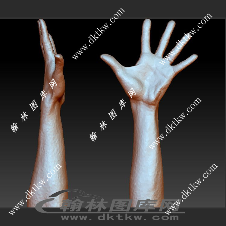 手臂立体圆雕图（SKT-814）展示