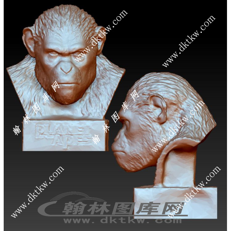 凯撒 半身雕塑立体圆雕图（RNG-029）展示