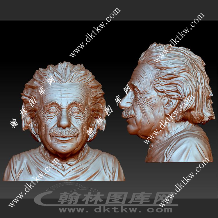 科学家爱因斯坦半身雕塑立体圆雕图（SKT-997）展示
