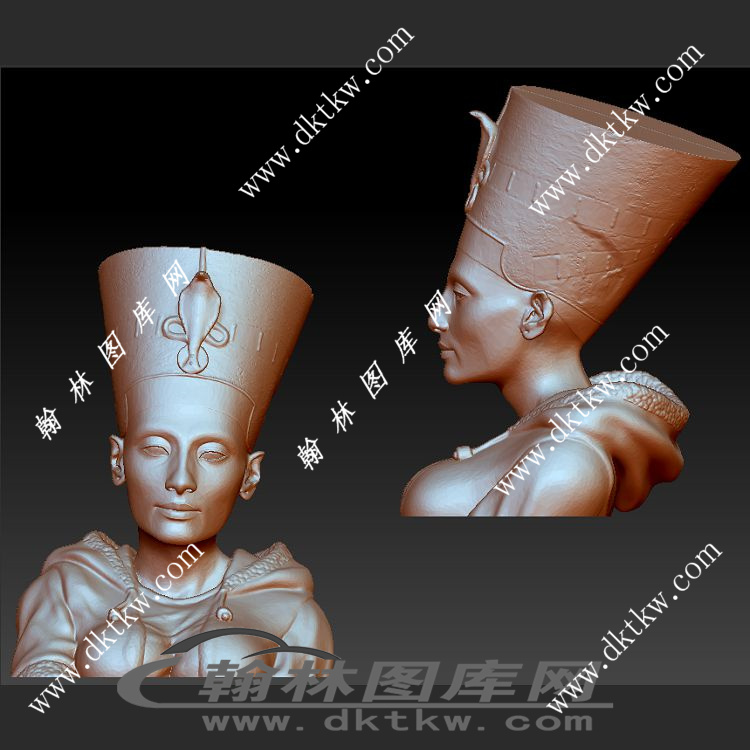 奈费尔蒂蒂半身像立体圆雕图（SKT-009）展示