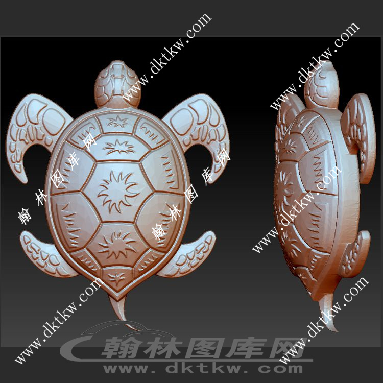 创意的乌龟立体圆雕图（SKT-077）展示