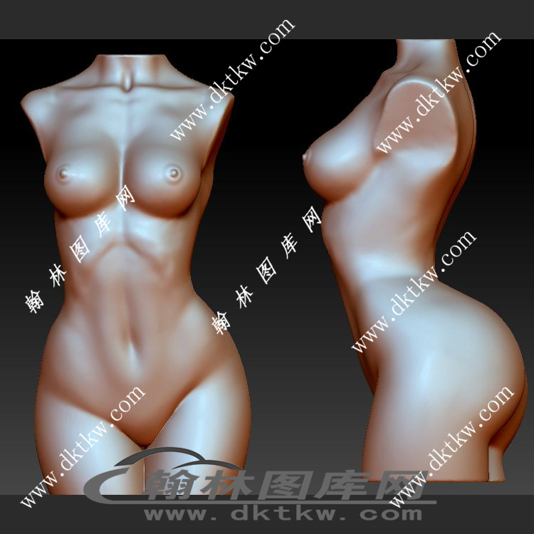 美妙的身躯模型立体圆雕图（SKT-769）展示