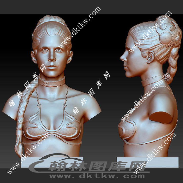 星球大战 莱娅·奥加纳·索洛半身像立体圆雕图（SKT-527）展示