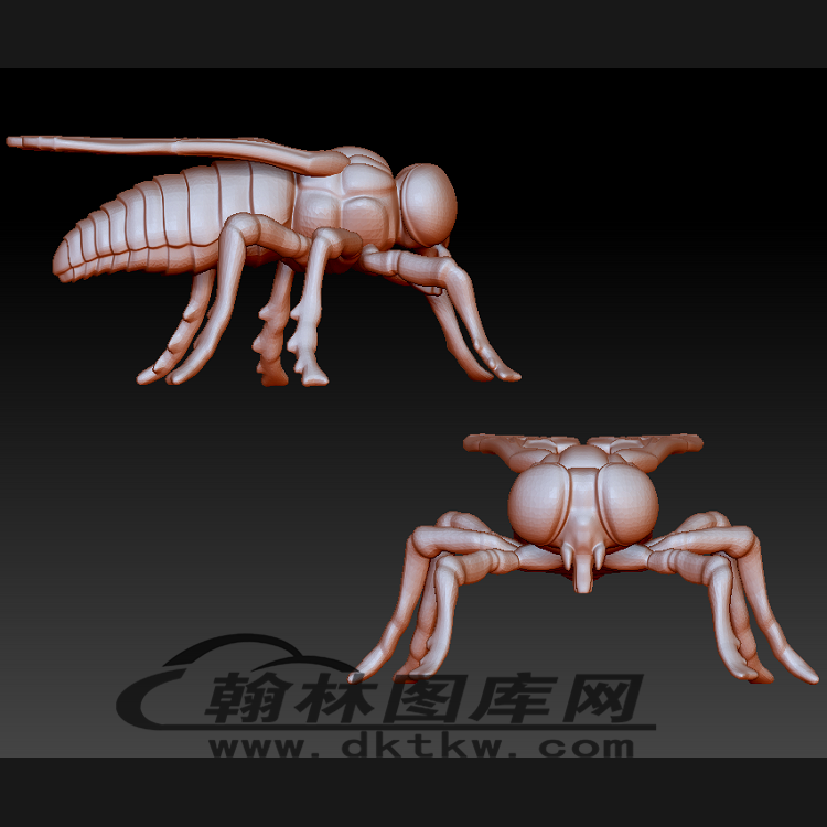 苍蝇立体圆雕图（BLG-472）展示