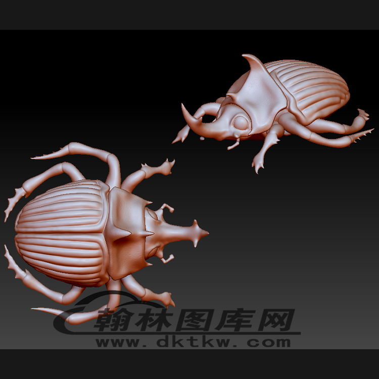 甲虫立体圆雕图（BLG-504）展示