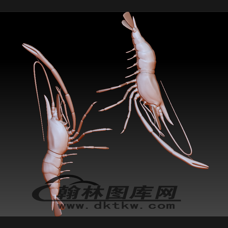 龙虾立体圆雕图（BLG-534）展示