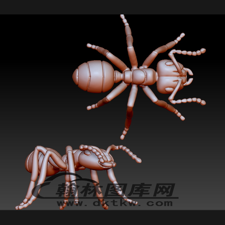 蚂蚁立体圆雕图（BLG-494）展示