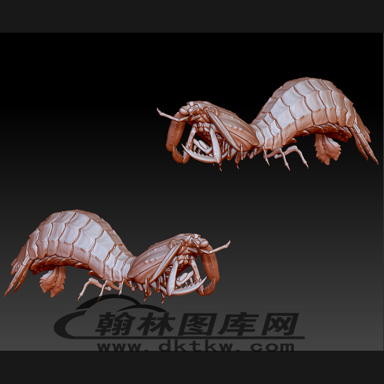 皮皮虾立体圆雕图（BLG-540）展示