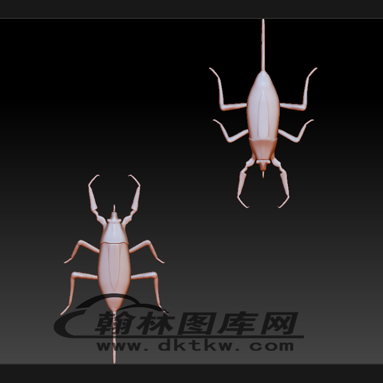 水生昆虫立体圆雕图（BLG-497）展示