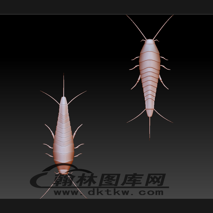 水生昆虫立体圆雕图（BLG-498）展示