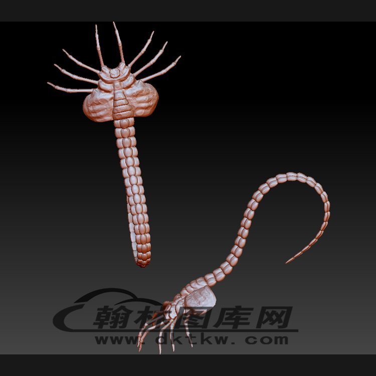 蝎子立体圆雕图（BLG-532）展示