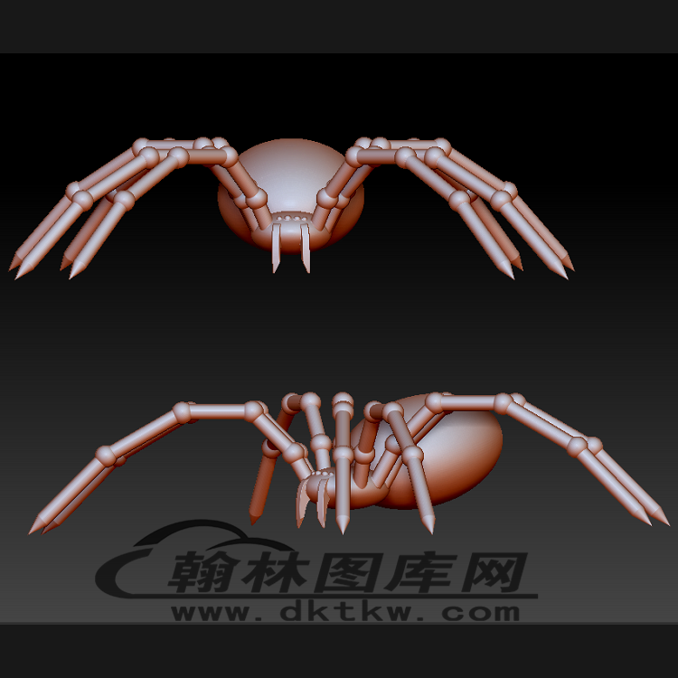 蜘蛛立体圆雕图（BLG-480）展示