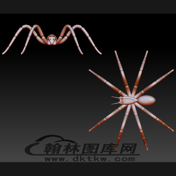 蜘蛛立体圆雕图（BLG-487）展示