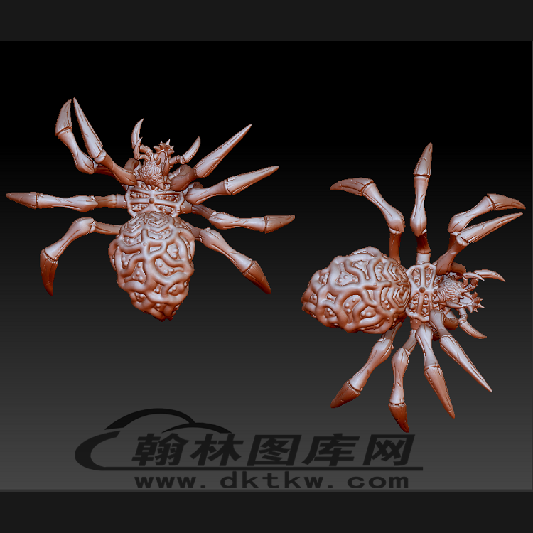 蜘蛛立体圆雕图（BLG-489）展示