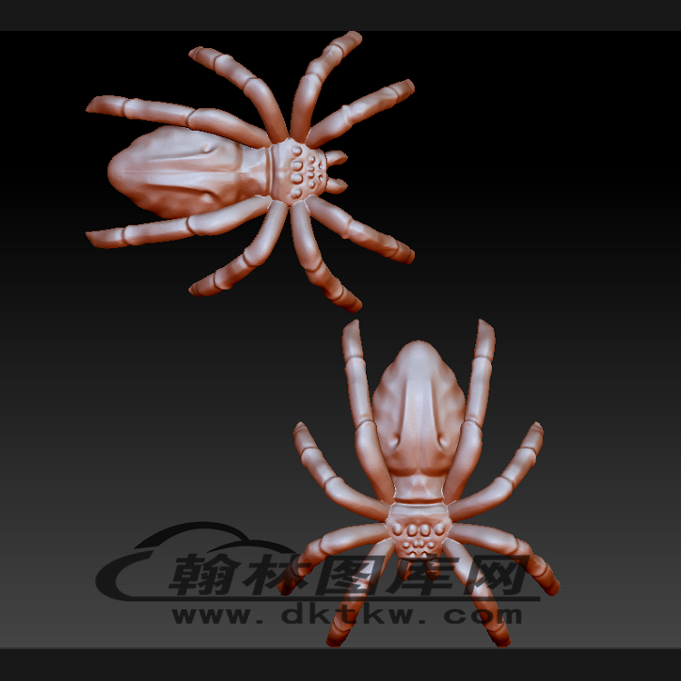 蜘蛛立体圆雕图（BLG-490）展示