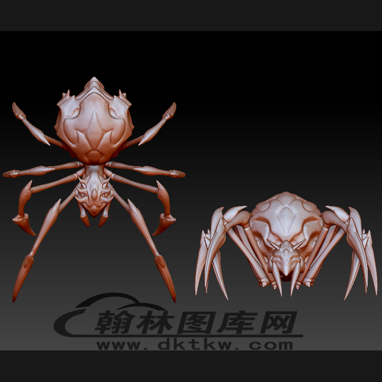 蜘蛛立体圆雕图（BLG-491）展示