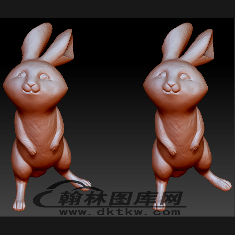 兔子立体圆雕图（BLG-244）展示