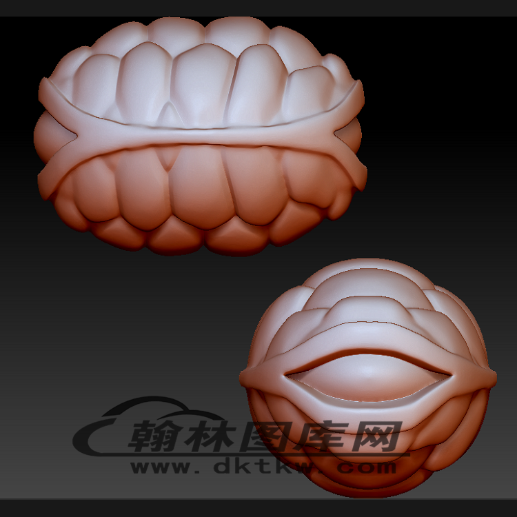 龟壳立体圆雕图（BLG-227）展示