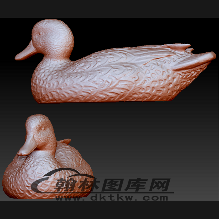 野鸭子立体圆雕图（BLG-200）展示