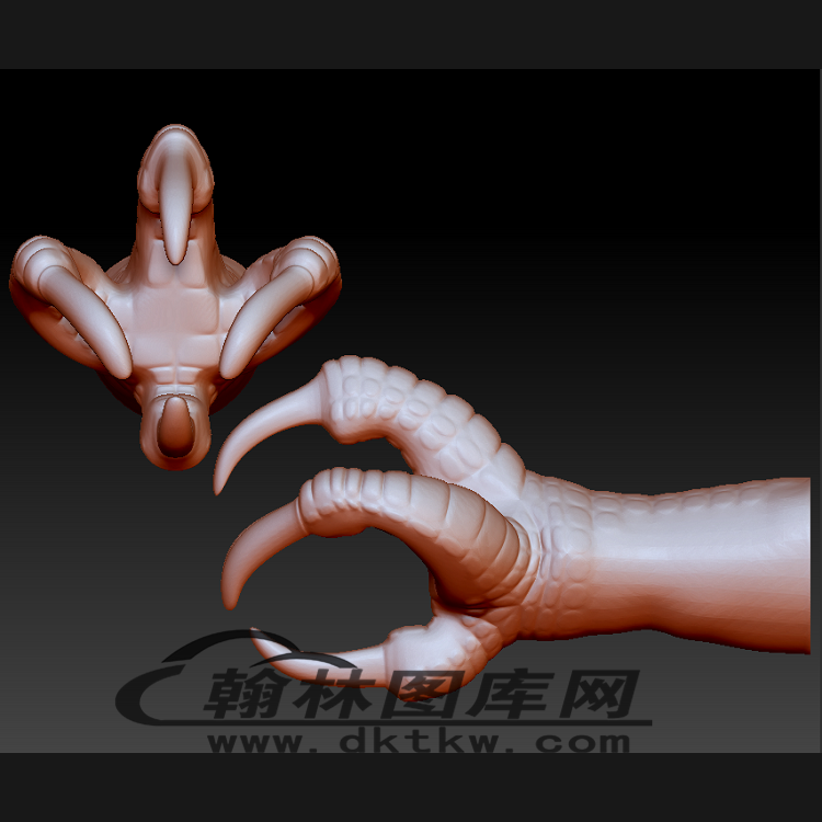 鹰爪立体圆雕图（BLG-210）展示
