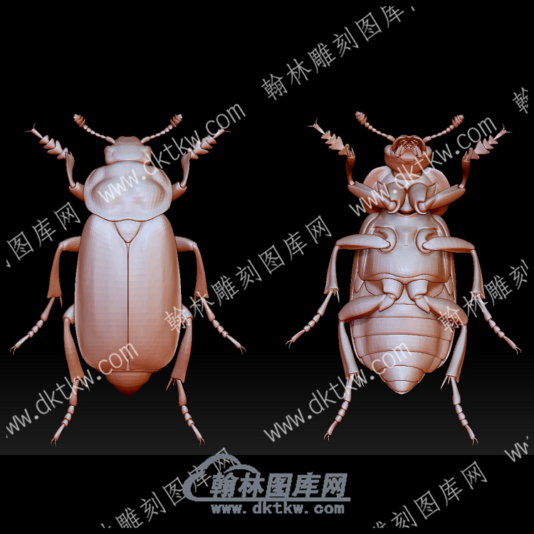 虫子23(BLG-554).png