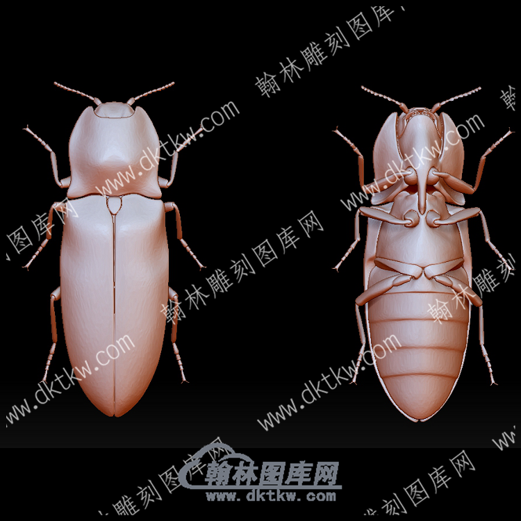 虫子32(BLG-562).png